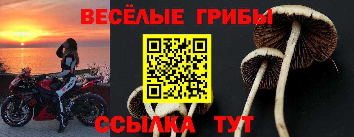 Галлюциногенные грибы ЛСД Элиста